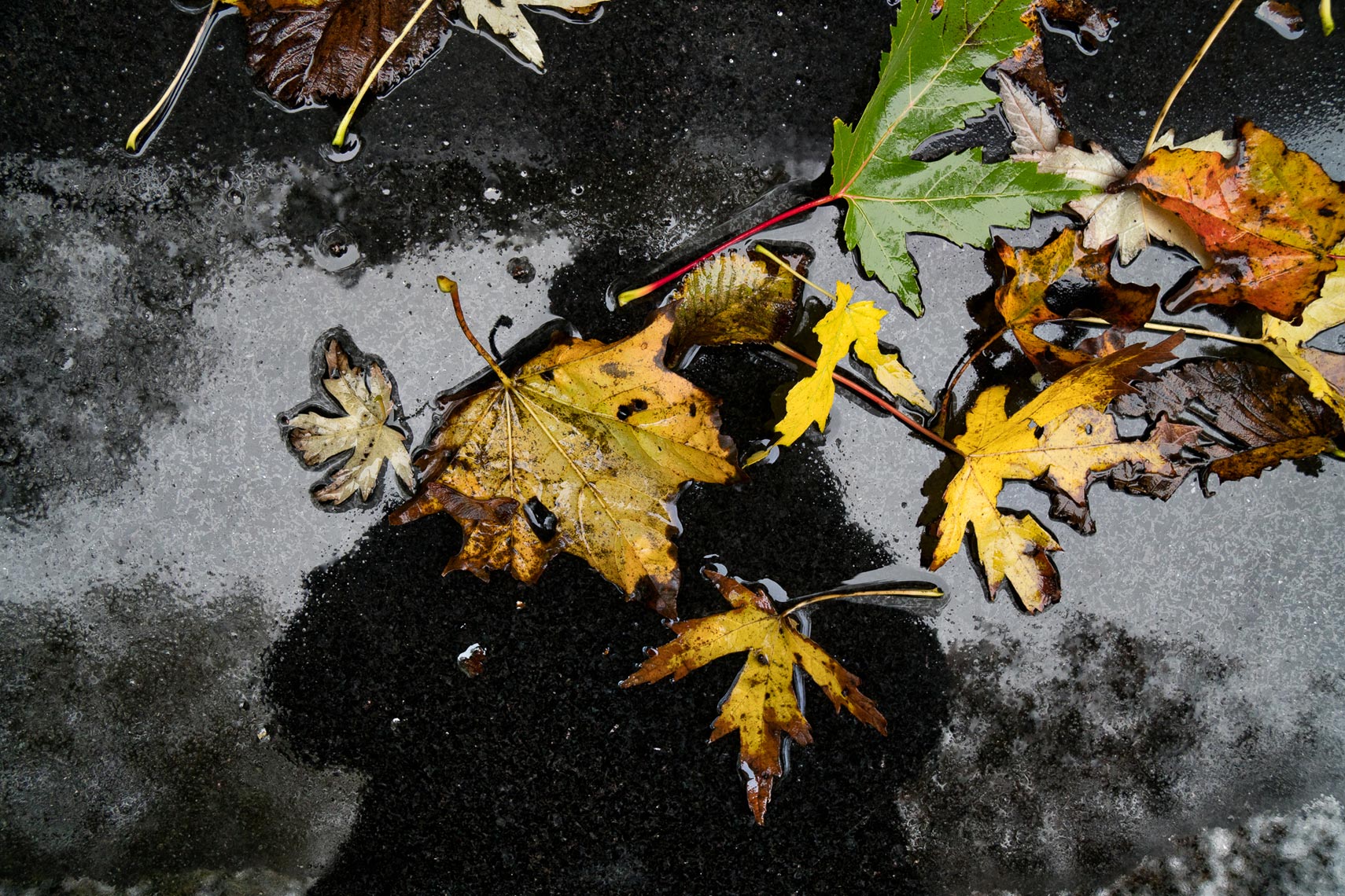 MM_WEB_20161022_A6300_00315-Edit